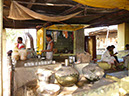MP-Omkareshwar1