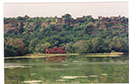 Ranthambore
