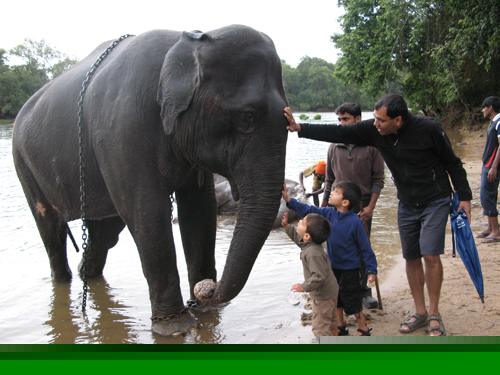 olifant