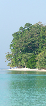 Bianca Travel reizen naar Zuid-India, afbeelding 2