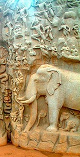 Bianca Travel reizen naar Zuid-India, afbeelding 1